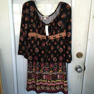 MUSE Boston Proper  Dress 4 NWT